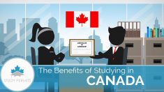 Finance Applications Online That Can Help You in Canada